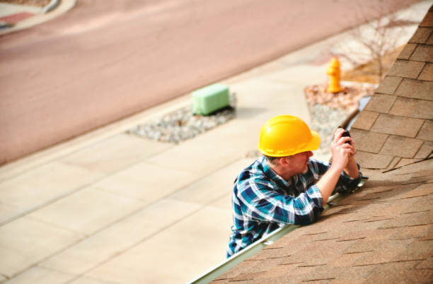 Best Roof Insulation Installation  in Bushnell, IL