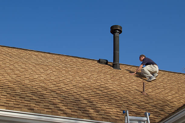 Best Rubber Roofing (EPDM, TPO)  in Bushnell, IL